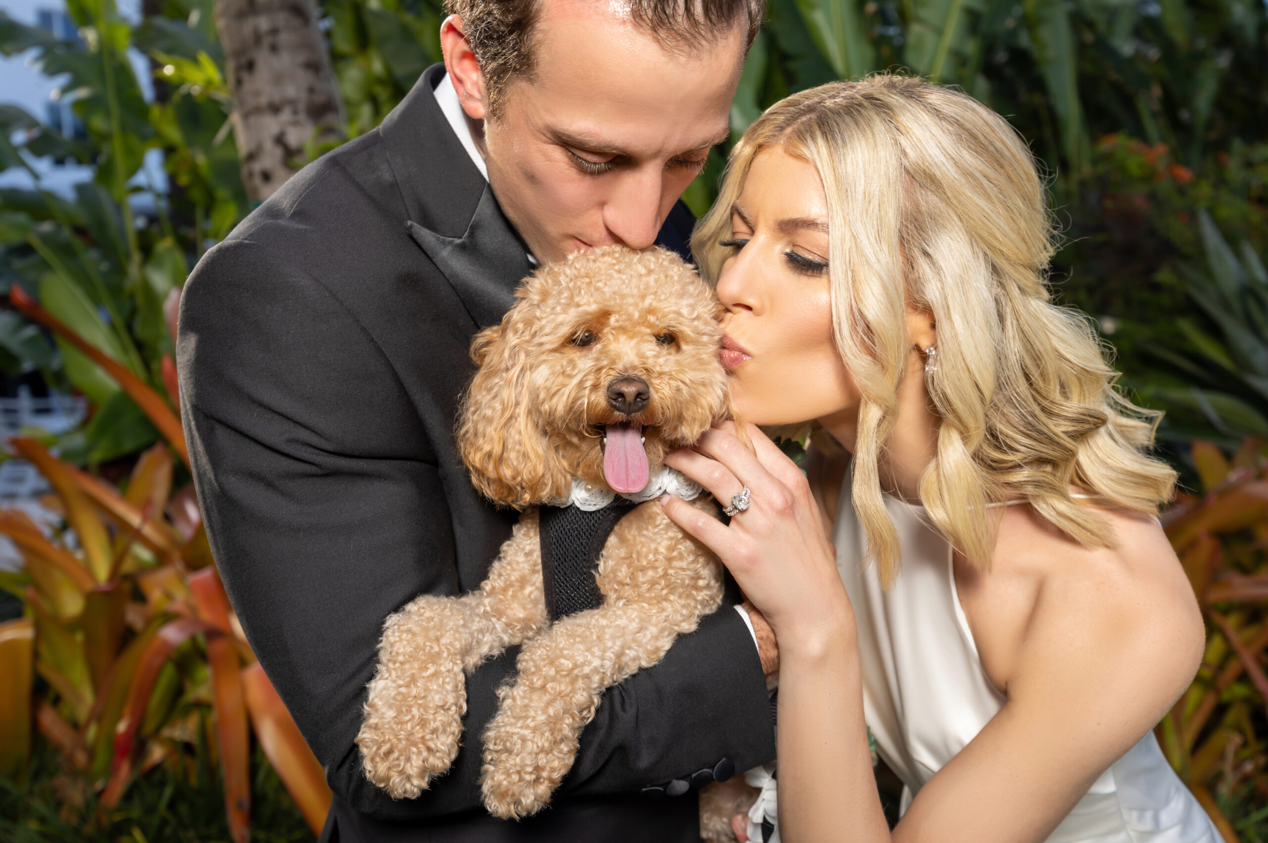 A couple kissing their small dog