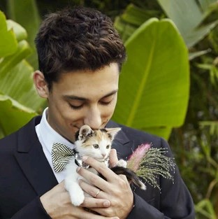 best man with small kitten with big bow tie