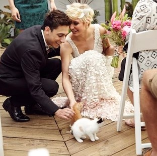 bride and groom with cat at wedding furever us wedding pet chaperones