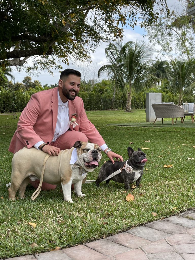 Man with pink suit kneeling down to his wedding dogs, one bulldog and one boston terrier.
