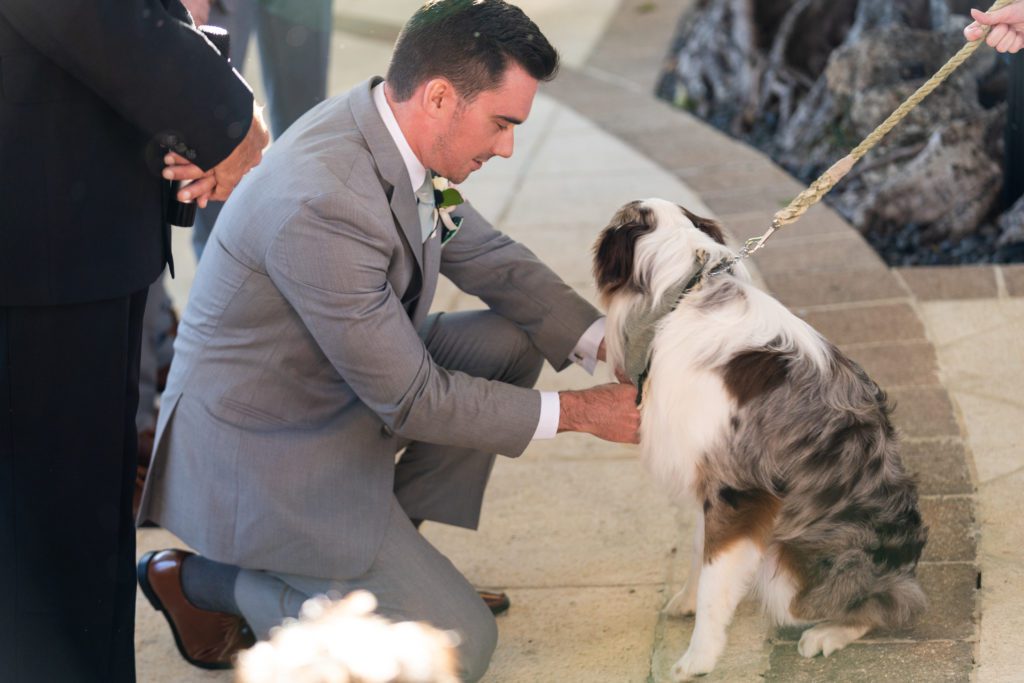 groom getting rings from dog of honor